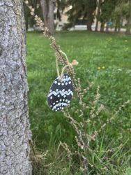 Tradičná akcia v našom školskom internáte
