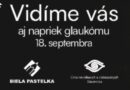 Biela pastelka a jej druhý ročník na SPŠT v Martine